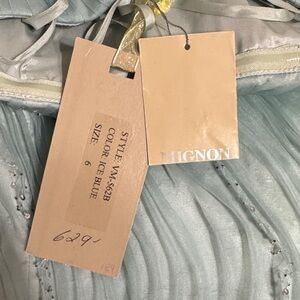 Mignon Light Blue Gown